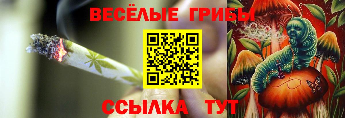 Галлюциногенные грибы Psilocybe Можга
