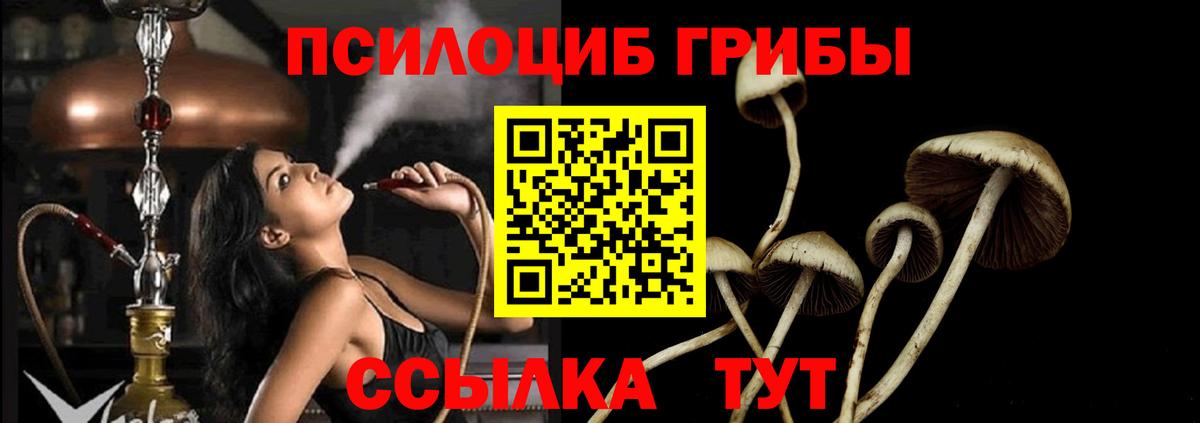 Псилоцибиновые грибы Magic Shrooms  Вход с VPN  Псилоцибиновые грибы Psilocybe  Можга 